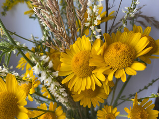 A bright composition of wildflowers and yellow daisies