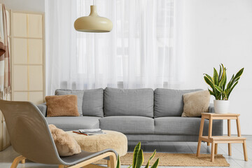 Sofa, chair, pouf and sansevieria plant in interior of living room, closeup