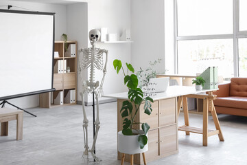 Interior of light hospital with human skeleton model, projector screen and modern laptop on table