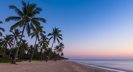 Serene Tropical Beach at Sunrise Palm Trees and Calm Ocean