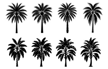 Silhouette assortment of various tropical palm trees