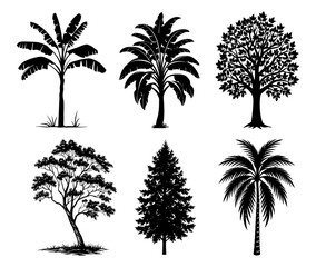 Silhouette of various trees on a white background