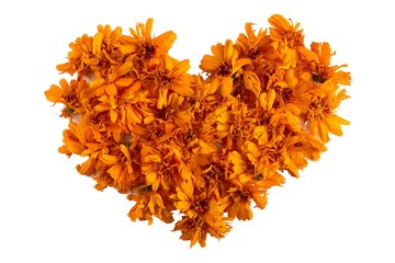 Blooming Heart: A heart-shaped arrangement composed of vibrant orange flower petals, symbolizing love, warmth, and the beauty of nature.