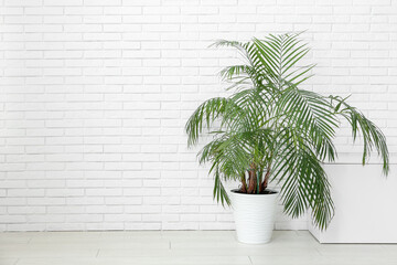 Stylish cabinet and houseplant near white brick wall