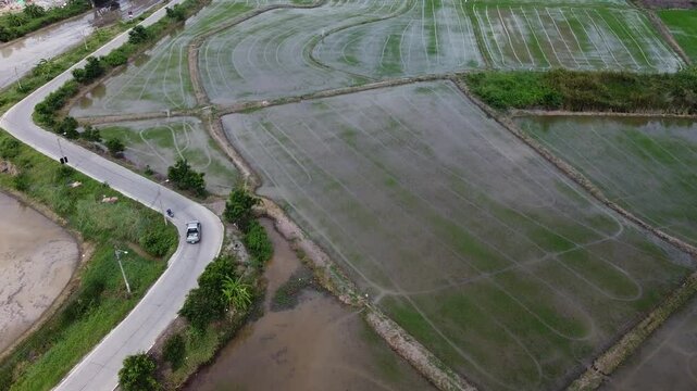 Drone footage captures flooded agricultural fields with curving rural road and cars passing by in Wolfsberg Kranenburg showing peaceful countryside and early farming activity