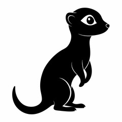Meerkat on white background