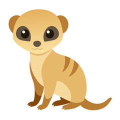 Meerkat on white background