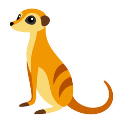 Meerkat on white background