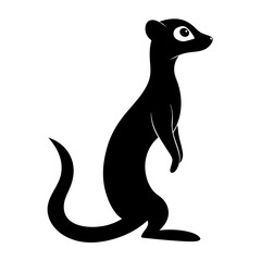 Meerkat on white background