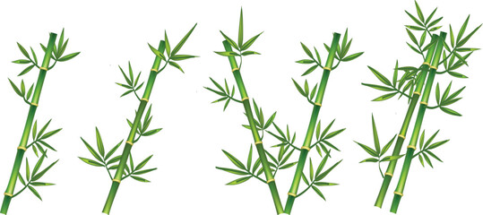Bamboo vector bundle set.