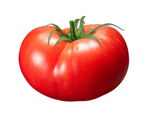 もぎたてのフレッシュなトマト