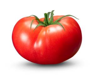 もぎたてのフレッシュなトマト