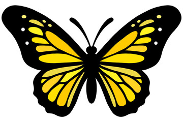 butterfly vector illustration