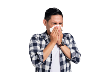 Unhealthy young Asian man in casual shirt blowing nose in paper tissue isolated on transparent background. Influenza virus concept