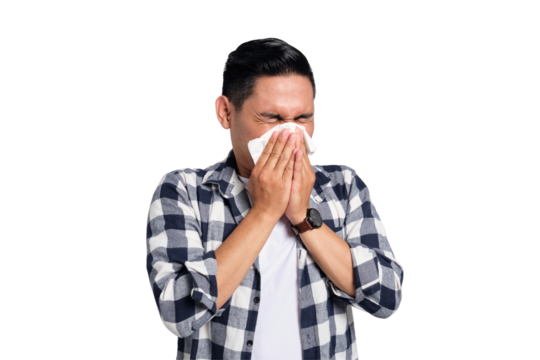 Unhealthy young Asian man in casual shirt blowing nose in paper tissue isolated on transparent background. Influenza virus concept