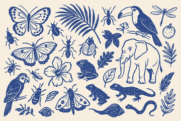 Hand Drawn Vector Set of Tropical Animals and Insects Featuring Butterflies, Frogs and an Elephant