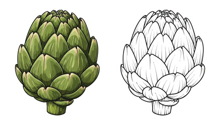 Obraz premium Artichoke Coloring Page with Full Color and Outline Styles Educational Botanical Activity