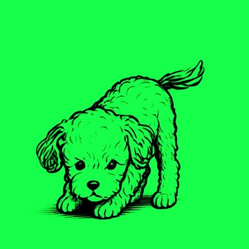 Cute fluffy puppy illustration animation, transparent 4K video, green screen