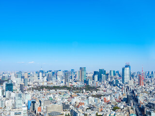 Fototapeta premium 青空の東京都心（東京タワー・東京スカイツリー）