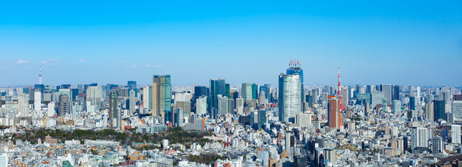 青空の東京都心（東京タワー・東京スカイツリー）