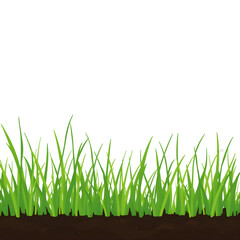 A grassy field with a white background