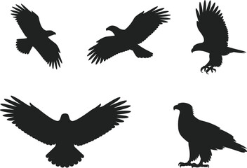 Silhouette set of flying eagles and hawks, isolated birds in flight, predatory bird shapes, wildlife freedom, majestic raptors collection vector