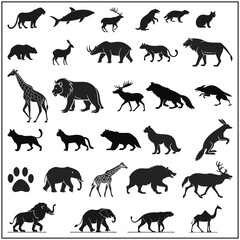 Wild Animal Silhouettes Vector Collection