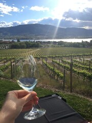 Vineyards in Oliver and Osoyoos, British Columbia Wine Country
