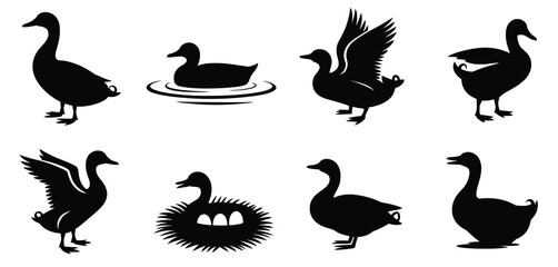 Collection of Black and White Duck and Goose Silhouettes