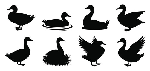 Silhouette Collection of Ducks and Geese