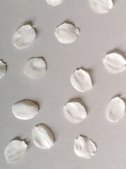 White rose scattered petals on gray background, surface under soft light. Delicate floral arrangement with blurred shadows. Close up. Selective focus.