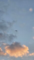 airplane in the sky