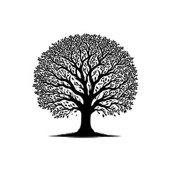 Detailed Black Silhouette of Decorative Tree with Roots and Branches Isolated on White Background