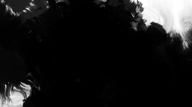 Black ink drops bleed and spread across a white background in an organic artistic transition, perfect for use as a reveal, background, or luma matte effect