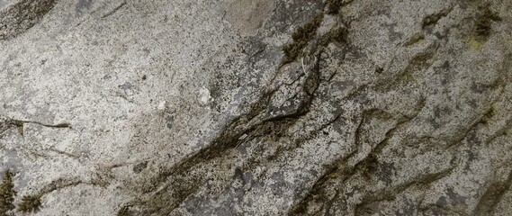mossy stone texture wallpaper