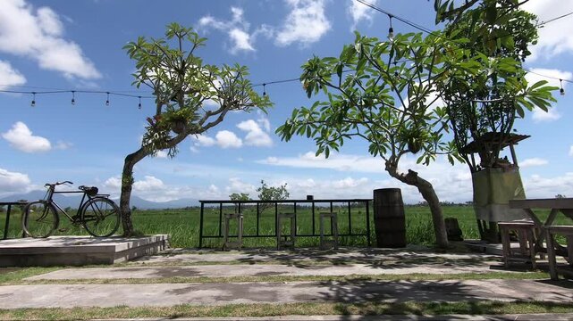 Tranquil midday scene of lush green rice fields in Bali, with a vintage bicycle resting beside the path&mdash;capturing the charm of rural life under soft daylight.