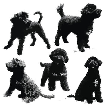 whoodle silhouette set, Black & White silhouette set