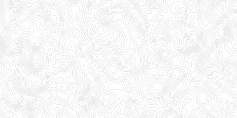 Abstract background with a wave grid map and topography map and seamless pattern with lines White wave paper curved reliefs abstract background, Abstract topographic contours map background.	