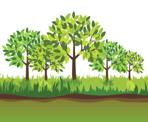 group of green trees in the garden green trees growing