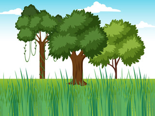 group of green trees in the garden green trees growing
