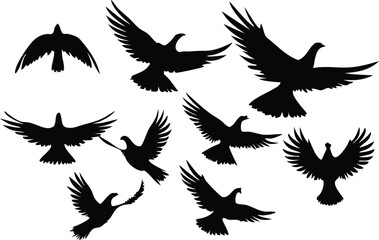 Obraz premium Flying Bird Silhouette Vector | Spread Wings Animal Clipart Design