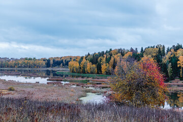 Autumn landscape with colorful trees and calm river under cloudy sky in rural area.