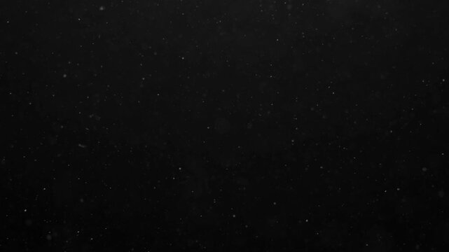 Subtle dust motes or organic particles float gently against a black background. Perfect overlay for adding atmosphere, realism, or a vintage feel