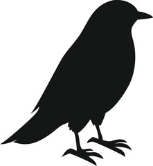 Obraz premium Bird Silhouette Vector | Black Flying Animal Clipart Icon for Designs