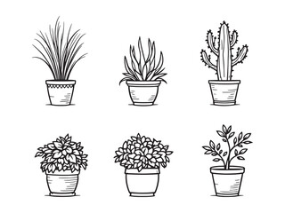 simple line art of potted plant illustration design