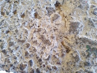 White Wall with a dotted pattern