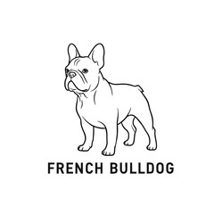 Modern French Bulldog Logo, Monoline Style