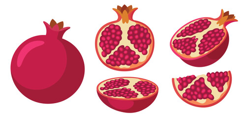 Whole and Sliced Pomegranate Illustration