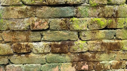 Ancient brick wall displaying patches of vibrant moss and organic textures makes a wonderful...