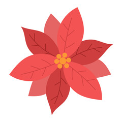 Christmas flower, Poinsettia, isolated on a white background. Colored icon, vector illustration. Christmas star, the symbol of Christmas.